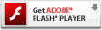 下载安装 Adobe Flash player